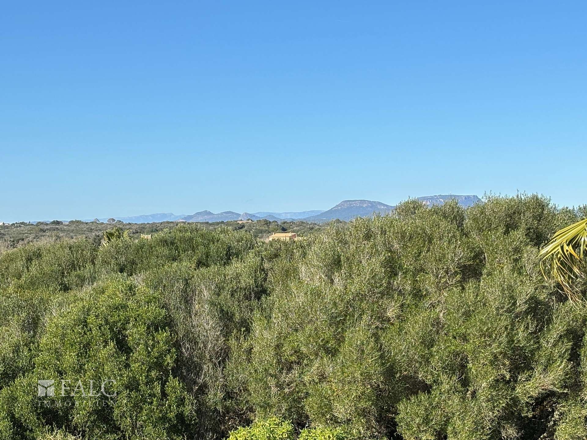 Blick Tramuntana und Randa Dachterrasse
